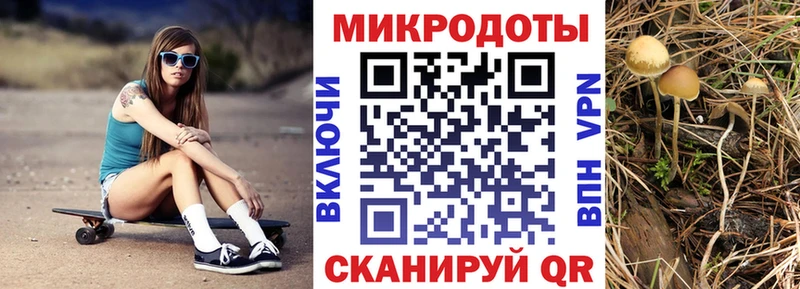 Галлюциногенные грибы Psilocybine cubensis  мега ONION  Советский  дарнет шоп 